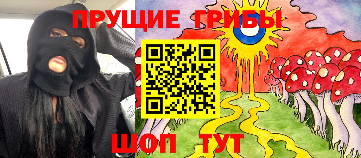 Псилоцибиновые грибы мицелий Добрянка