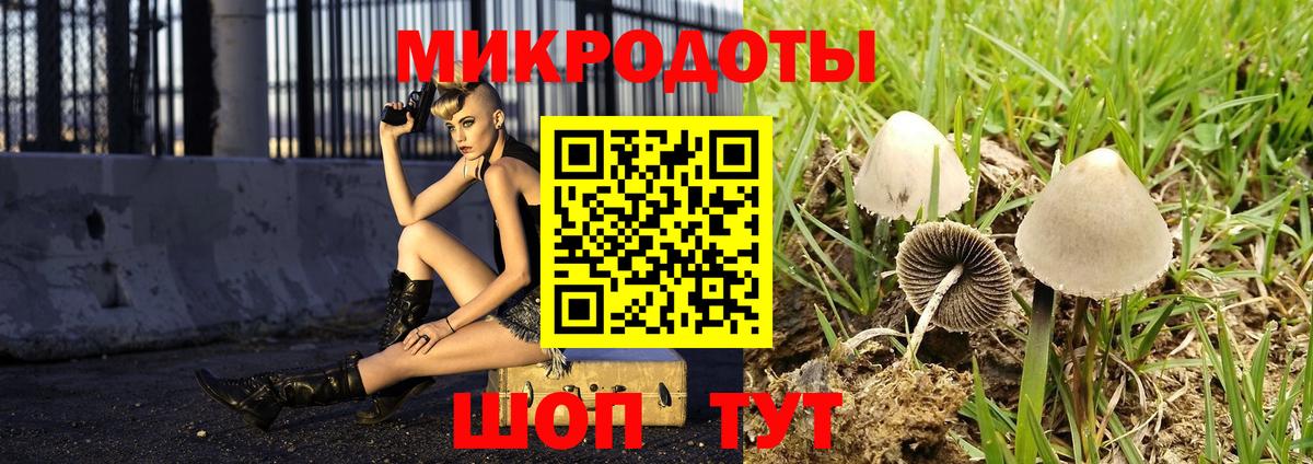 Псилоцибиновые грибы MAGIC MUSHROOMS Добрянка