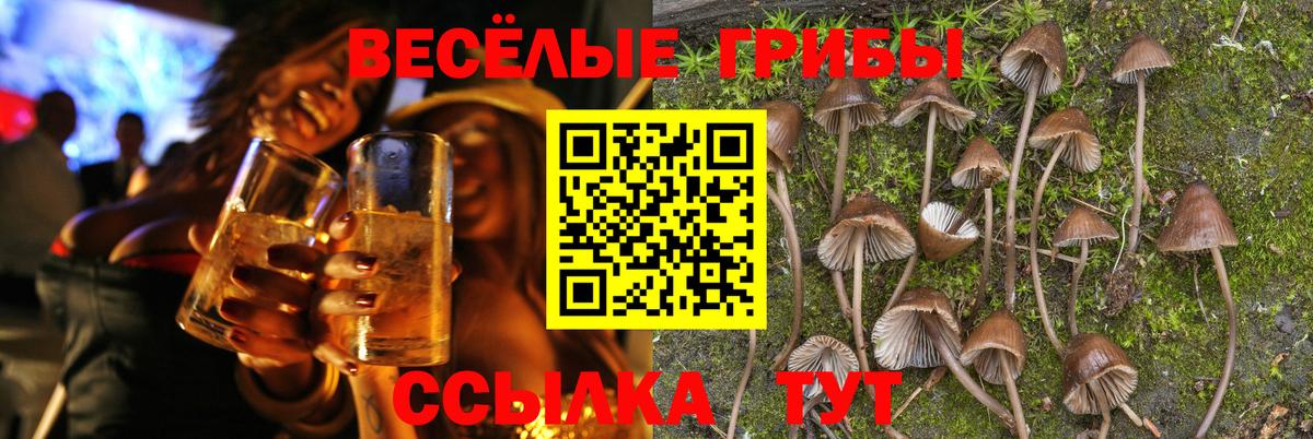 Псилоцибиновые грибы MAGIC MUSHROOMS  Галлюциногенные грибы Magic Shrooms  Добрянка 