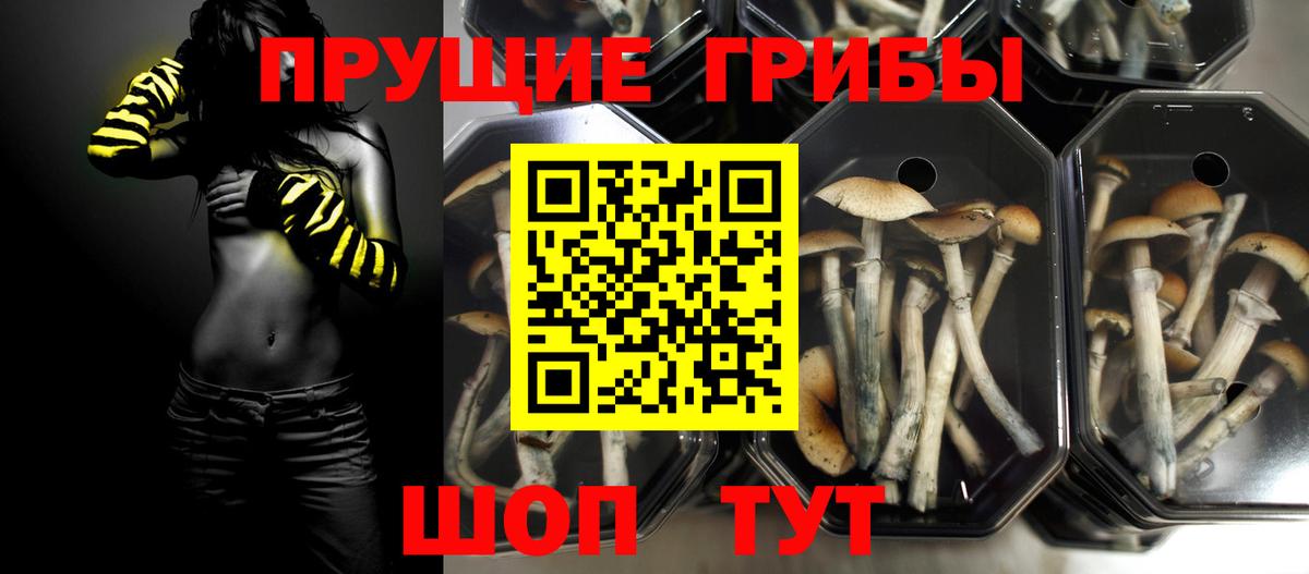 Добрянка  Галлюциногенные грибы Psilocybe  Вход с VPN 